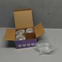 Two's Company Seated Bud Vase/place Card Holders-Set of 4, 3 inches Height x 3.5 inches Diameter, Clear