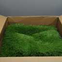 Artificial Grass Turf Rug 4FTX6FT Indoor Outdoor, 1.38" Pile Height Realistic Fake Grass with Drain Holes Astro Turf for Patio Garden Lawn Landscape Balcony