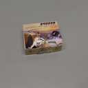 BSUBSU
Wireless CarPlay Adapter, 2026 Upgraded Wired to Wireless for Apple CarPlay & Android Auto, Mini USB Design Car Play Adapter with Type-C Extension, Plug and Play, Stable Connection & No Latency (White)