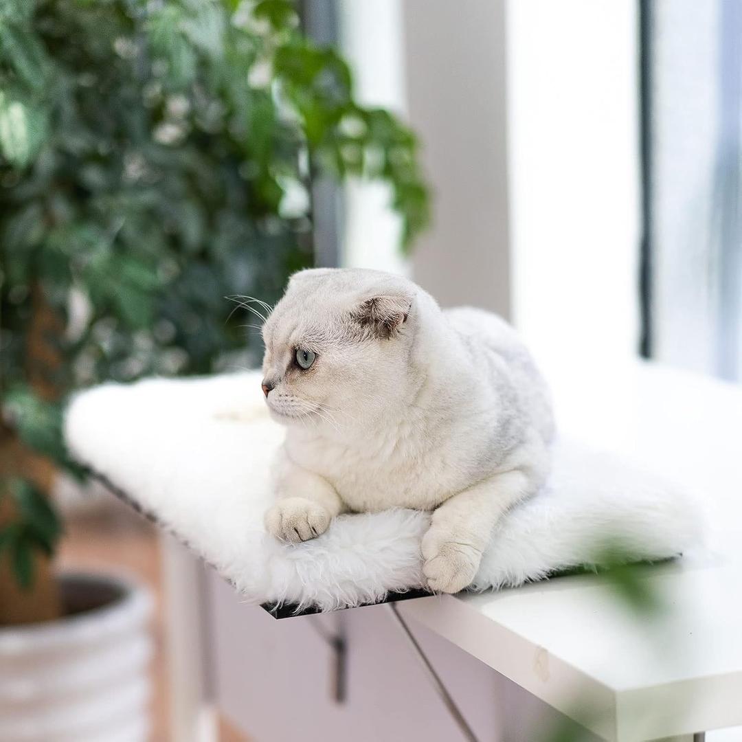 Topmart Cat Window Perch - Large Cat Sill, Seat, Shelf