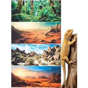 Breling 4 Pcs 36 x 18 Inch Reptile Habitat Background with Nano Glue Gobi Sun Cactus Stone and Green Tree Fern Stream Bearded Dragon Terrarium Background Polyester Durable Aquarium Accessories