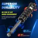 Rear Strut Shock Assembly w/Coil Spring for Honda Accord 2003-2007 Exclude Hybrid, Acura TL 2004-2008, Replace 171372, Left & Right, 2PCS