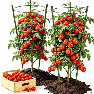 Large Tomato Cages, 24 Inch Tomato Cages for Garden, Plant Support Cages for Tomatoes, Potted Indoor Outdoor Plants, Flower Vine Climbing Plant Tomatoes Trellis, 2 Packs