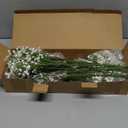 Babys Breath Artificial Flowers,30 Pcs Gypsophila Real Touch Flowers for Wedding Party Home Garden Decoration (16.6inch, White)