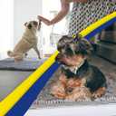 Muddy Mat | Super Absorbent Door Mat Indoor, Microfiber Quick Dry Chenille Entryway Rug, Non-Slip Front Door Mat, Indoor Mats for Entryway, Machine Washable Pet Rug, Grey 30"x19"