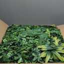 Artificial Grass Wall Panels, 20"x20" 8pcs Hedge Grass Backdrop, UV-Anti Fake Greenery Plant Boxwood Panels, Green Wall Decor for Outdoor Indoor Patio Garden Backyard (Money Tree)