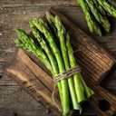 7 x Seeds Mary Washington Asparagus Green Non GMO Heirloom