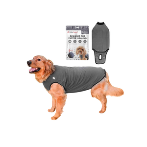 BellyGuard Recovery Suit for Dogs, Comfy Dog Surgery Suit, Female Spay and Male Neuter Onesie for Post-Op Care Size XXL