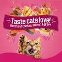 Purina Friskies Gravy Swirlers with Flavors of Chicken, Salmon and Gravy Dry Cat Food - 22 lb. Bag (EXP 08/01/27)