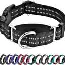 Hikiko Martingale Collar for Dogs Reflective Nylon Dog Collar with Quick Release Buckle Adjustable Training No Slip Dog Collars (Medium, Black)