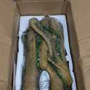 SLOCME Aquarium Resin Tree Trunk Ornament - Fish Tank Wood House Decor, Betta Fish or Other Pets Can Swim Through The Branches