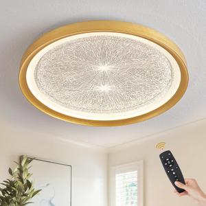 Chandeliers, Modern Led Ceililight 20'' Fmount Ceililightn Ceililightifixture Remote Control 24W Ceilingp for Bedroom Kitchen Liviroom/D-Firework/a