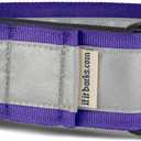 If It Barks - 1.5" Reflective Martingale Collar with Quick Snap Buckle for Dogs - Adjustable - Made in USA - Strong, Durable, and Comfy - Ideal for Training - Fits Most Breeds - Small, Purple