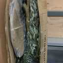 MOSADE Artificial Olive Tree 10 Feet Fake Olive Plant and Handmade Seagrass Basket, Perfect Tall Faux Topiary Silk Tree for Indoor Entryway Decor Home Office Gift