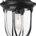 Outdoor Pendant Lantern Light Fixture for Front Porch, 9 Inch Large Vintage Exterior Hanging Chandelier with Clear Seedy Glass, Black Outdoor Indoor Pendant Lamp for Patio, Gazebo, Entryway