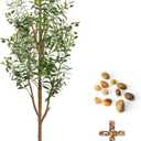 6FT Artificial Olive Tree - Indoor Tall Faux Olive Trees with Planter&Basket, Large Fake Olive Silk Tree Realistic Olive Plants with Branches and Fruits for Home Decor Office Living Room
