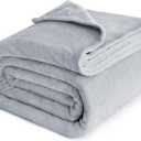 Bedsure GentleSoft Fleece Bed Blankets Full Size Light Grey - Soft Lightweight Plush Fuzzy Cozy Luxury Blanket Microfiber, 84x90 inches