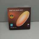 Smart LED Ceiling Light Fixture, Modern Dimmable Flush Mount Ceiling Light, Compatible with Alexa & Google Home, Lighting for Bedroom, Kitchen, Living Room, 12 Inch