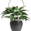 6 Pack Bamboo Trellis Round-Shaped for Potted Plant, 16 Inch Plant Support Stake for Climbing Vines, Decorative Hoop Stake for Potted Hoya
