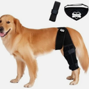 Bark Rx: Dog Knee Brace Hind Leg - Orthopedic Brace for Dogs - Integrated Support Strap for Canine Cruciate Ligament, Luxating Patella, Dislocation Injury - Includes Bandana Collar - Black, Large 
