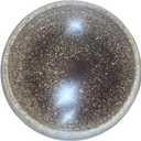 Garden Bowl Planter Water Plant Pot Water Lily Pots Hydroponic Planter Bonsai Pots Garden Decorative Cactus Stand Flower Container Daffodil Pot Bowl (Ivory White)