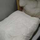 Holy Lamb Organics Woolly "Down" Pillow (Standard (Pack of 1)