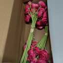 Floroom Ranunculus Artificial Flowers 18 Pcs Fuchsia Faux Silk Mini Ranunculus Bulk Fake Wedding Filler Flowers for DIY Hot Pink Bouquets, Centerpieces, Bridal Shower Decorations & Arrangements