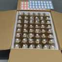 48 Pack 2oz Clear Glass Dropper Bottles, Eye Dropper Bottles with Glass Droppers for Essential Oils, Perfumes(60ml, Gold)