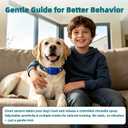 Citronella Bark Collar for Dogs, 3 Spray & 3 Sensitivity, No Spray Refil