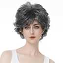 Aimole Short Curly Synthetic Wigs Full Capless Hair Women's Thick Wig for Everyday Grey Hair Wigs