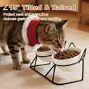 Elevated Tilted Cat Bowls for Indoor CatsRaised Ceramic Cat Bowl Elevated 15,Pet Feeding Bowls for Food and Water Anti Vomiting Bowl(Double Ceramics and Tilt Shelf) Suitable