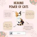 Calico Cat Animals Mini Building Sets STEM Toy for Adults Boys Girls 12+, Large