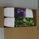 Der Rose 4 Pack Small Fake Flowers Plants Spring Decorations for Centerpiece Table Decorations Desk Home Bathroom Office Decor