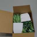 Der Rose 2 Pack Small Fake Plants Mini Artificial Potted Plants for Table Desk Home Laundry Room Bathroom Office Decor (Grey)