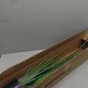 Bird of Paradise Plant Artificial 5.3Ft Tall Fake Tropical Palm Tree with Plastic Pot Silk Floor Plant for Indoor Outdoor Home Office Living Room Decor