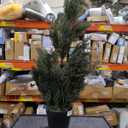 Nearly Natural 3ft. Mini Cedar Pine Artificial Tree (Indoor/Outdoor)