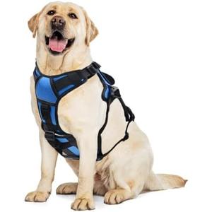 AUROTH Escape Proof Dog Harness - No Pull with Lift Handle, Soft Padded Reflective Adjustable Vest, Large for Walking, Hiking, Training (L(Neck:19.5''-29.5",chest:25.8"-37"), Blue)