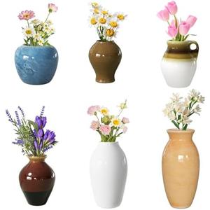 Cute Mini Ceramic Vase Fridge Magnets, Funny Small Plant Magnets, Tiny 3D Plant Vase for Refrigerator Decoration Kitchen Locker Kitchen Office (6 Pack) 12 Boxes