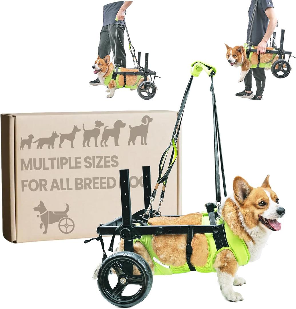 Adjustable Dog Wheelchair for Back Legs, for All Breed Dog - Includes High-Visibility Vest, Leash & Sling Lift, Lightweight Pet Wheelchair for Disabled Hind Legs (Large, for Medium Breed Dog)