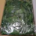 30Pcs Italian Ruscus Greenery, 23" Artificial Silk Stems Garland w/Green Leaf Vines Bendable Faux Hanging Plants Spray for DIY Wedding Arch Bouquet Table Centerpieces Vase Filler and Home Indoor Decor