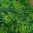 Geosar 72 Pcs Artificial Hanging Plants 32 Inch Hanging Boston Ferns Plastic Fake Plants for Wall Room Garden Wedding Garland Indoor Outdoor Decoration, No Basket