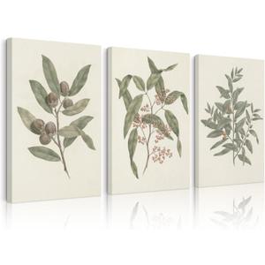 Green Botanical Wall Art Sage Plant Canvas Pictures Eucalyptus Wall Decor Vintage Leaves Prints Minimalist Leaf Poster Natural Artwork Gallery Painting for Farmhouse Bedroom 16x24x3 Inch Ready to Hang
