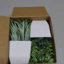 Der Rose 2 Pack Small Fake Plants Mini Artificial Potted Plants for Table Desk Home Laundry Room Bathroom Office Decor (Grey)