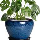 8 Inch Plant Pot - Ceramic Planter for Indoor Plants Outdoor, Round Planter with Drainage Hole and Saucer, Modern Decorative Flower Pots, Home Office Room Decor, Plant Lovers Gifts, Blue