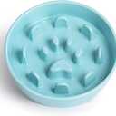 Slow Feeder Dog Bowls, Ceramic Fun Slow Eater Bowl for Small Medium Breed (Turquoise)