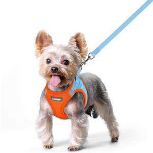 rabbitgoo Dog Harness Small Sized and Leash Set, Step in Soft Light Puppy Vest, Breathable Mesh Pet Harness, Reflective for Safe Easy Walking, Blue & Orange XS (XS (Chest: 13.3 - 15.5"))
