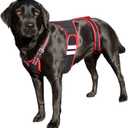 Dog Back Brace - Specialized IVDD, Arthritis Relief, Herniated Disc, Slipped Disc, Surgery Recovery - Dog Spine Support Harness - PetAngell - X Large