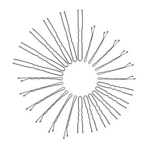 Body Basics Bobby Pins 48ct Pack Of 5