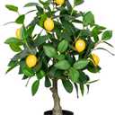 2.5FT Artificial Lemon Tree,2.5 Feet(30in) Fake Lemon Tree with Black Pot Faux Plant Indoor for Home,Decor,Office,Living Room