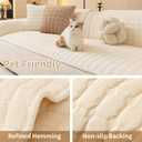 Velvet Couch Covers for Dogs, Dog Sectional Couch Covers, Pet Couchs Cover for 2-3 Seater, Couchs Protector for Dogs, Sectional Sofa Cover for Pet Washable(1PC,Beige White,27.6"70.9")